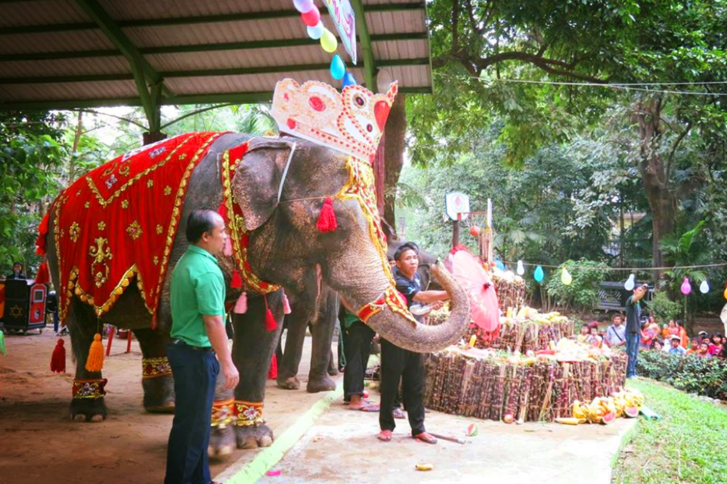 Yangon-Zoological-Garden